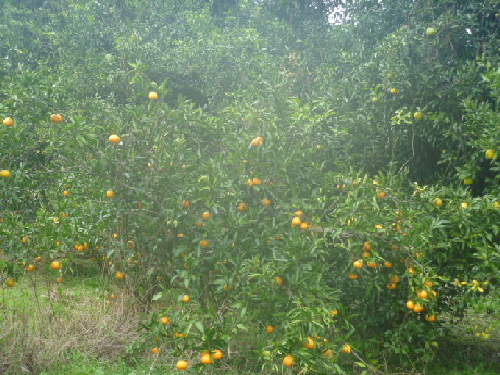b0246036_14571992.jpg