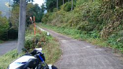 f0090236_200775.jpg