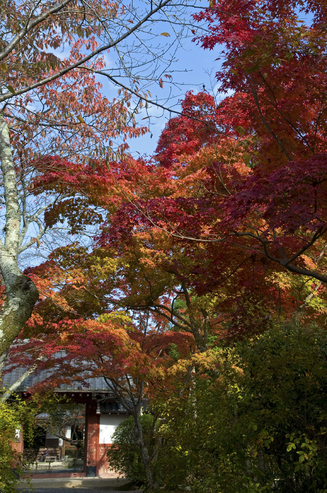 b0042837_55134.jpg
