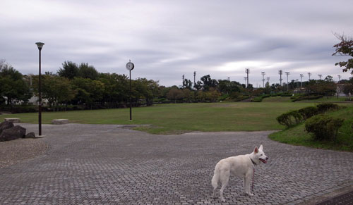 a0117039_232025.jpg