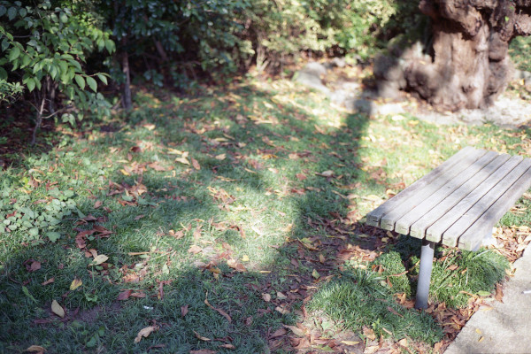 #124 Autumn bench 秋のベンチ_f0361341_14071564.jpg