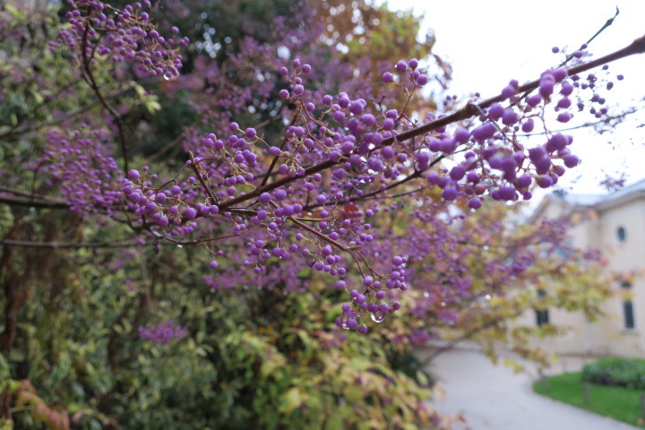 e0300042_21493288.jpg