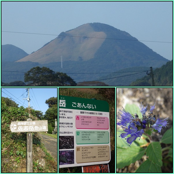 平戸の山とお花散策_e0164643_20354317.jpg