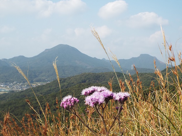 平戸の山とお花散策_e0164643_21234585.jpg