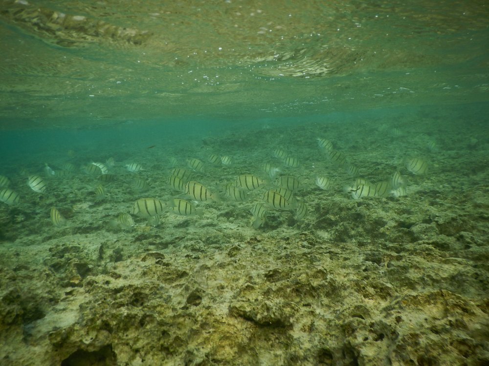d0142944_22443047.jpg