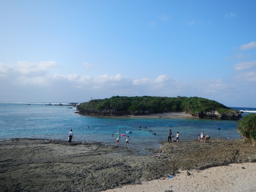 d0142944_22443220.jpg