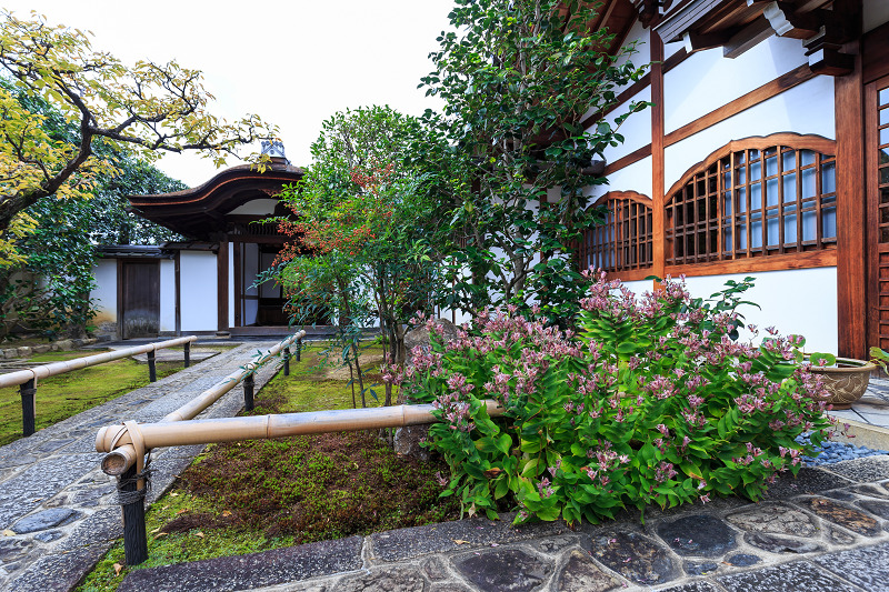 花子さまご確認用！春慶塗大徳寺重10点 御影堂門前における巨大アート作品「花子」の展示について｜真宗大谷派