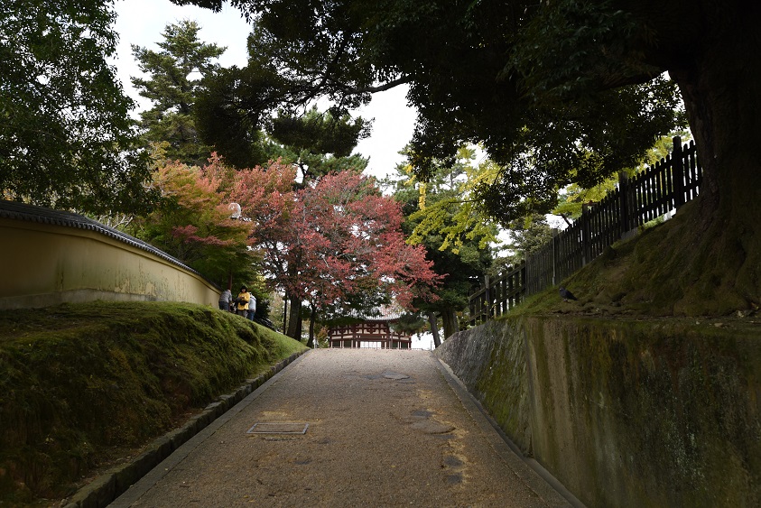 a0237349_14455161.jpg