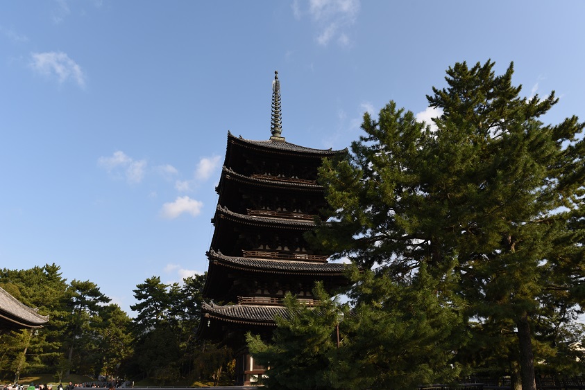 a0237349_150916.jpg