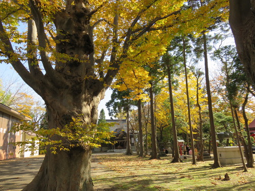 b0238249_1005384.jpg