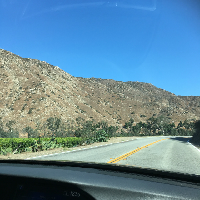 b0305749_07153610.jpg