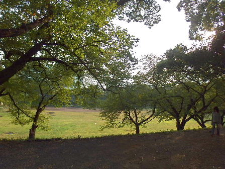 駒場東大前−日本民藝館・旧前田家本邸・東大駒場キャンパス ３／３_d0063149_15055601.jpg