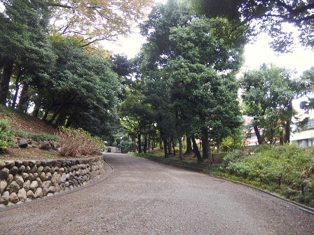 d0063149_15060383.jpg