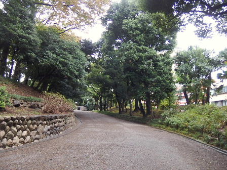 大人の遠足三回目１／３−旧岩崎庭園_d0063149_15060383.jpg