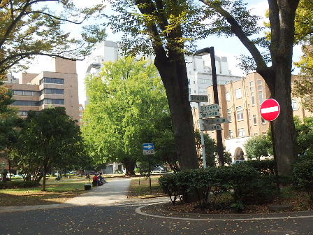 d0063149_15062005.jpg