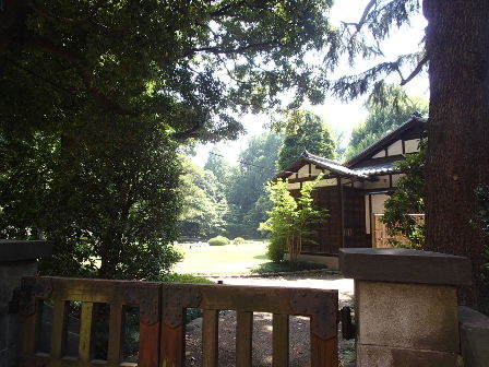 d0063149_17451897.jpg