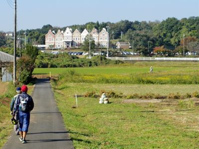 日本3ﾃﾞｰﾏｰﾁ　2日目吉見百穴・森林公園ﾙｰﾄ　_b0220251_1352367.jpg