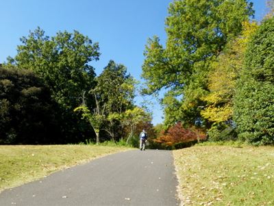 日本3ﾃﾞｰﾏｰﾁ　2日目吉見百穴・森林公園ﾙｰﾄ　_b0220251_1364364.jpg