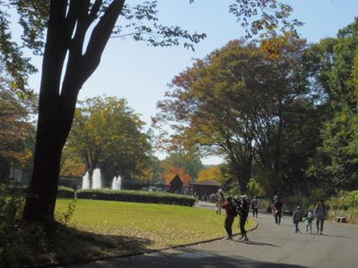 日本3ﾃﾞｰﾏｰﾁ　2日目吉見百穴・森林公園ﾙｰﾄ　_b0220251_137025.jpg