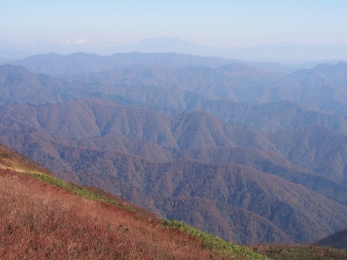 b0335256_21465632.jpg