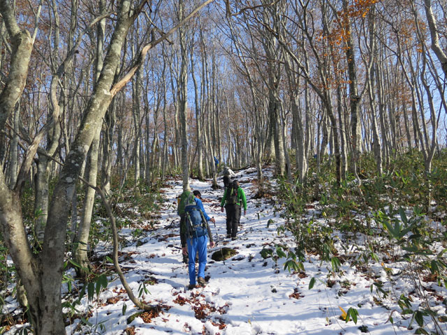 2016年11月5日　村山葉山（1,462m･山形県寒河江市）_c0116856_2152047.jpg