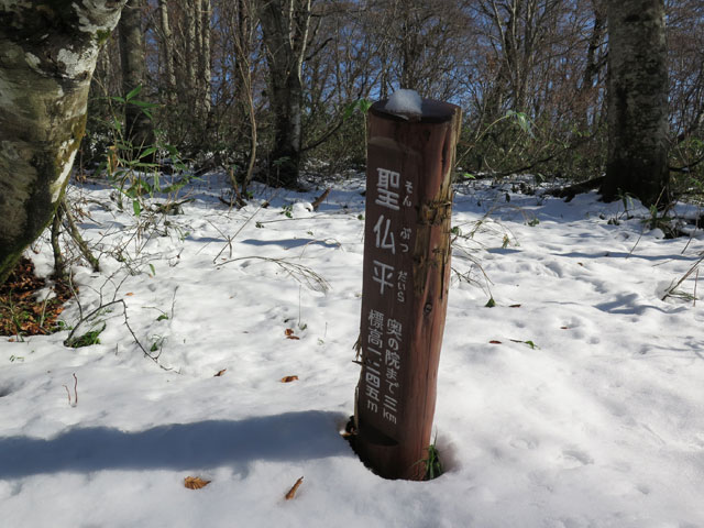 2016年11月5日　村山葉山（1,462m･山形県寒河江市）_c0116856_2152956.jpg