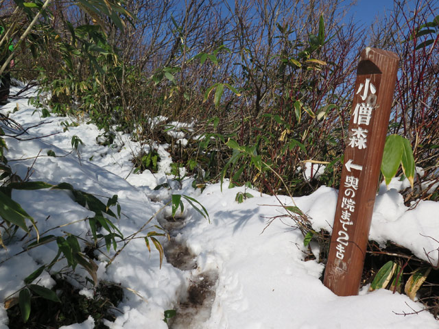 2016年11月5日　村山葉山（1,462m･山形県寒河江市）_c0116856_2155917.jpg