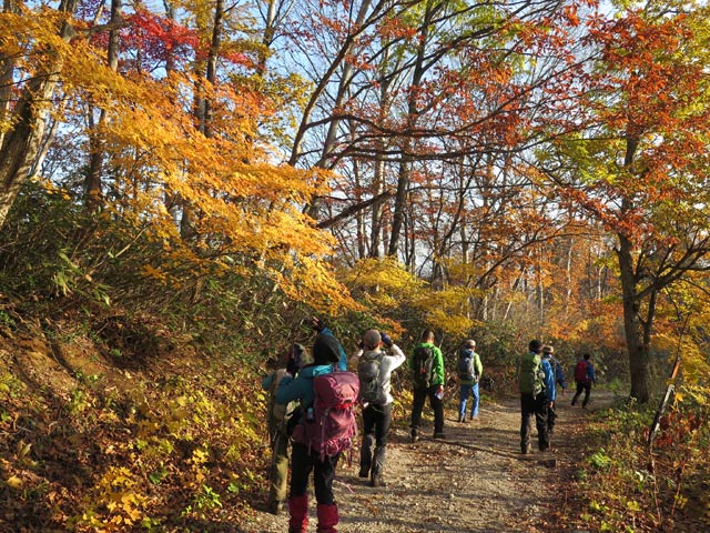 2016年11月5日　村山葉山（1,462m･山形県寒河江市）_c0116856_2172948.jpg