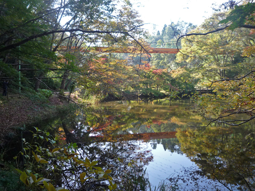 b0045357_1013596.jpg