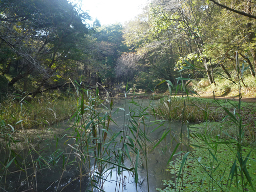 b0045357_9551413.jpg