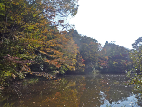 b0045357_959661.jpg