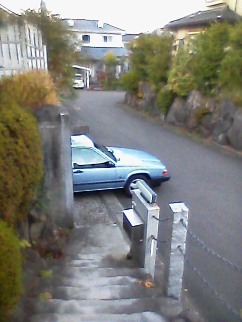 f0091057_1540441.jpg