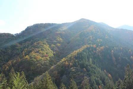 a0208560_12492516.jpg