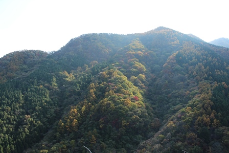 a0208560_12541216.jpg
