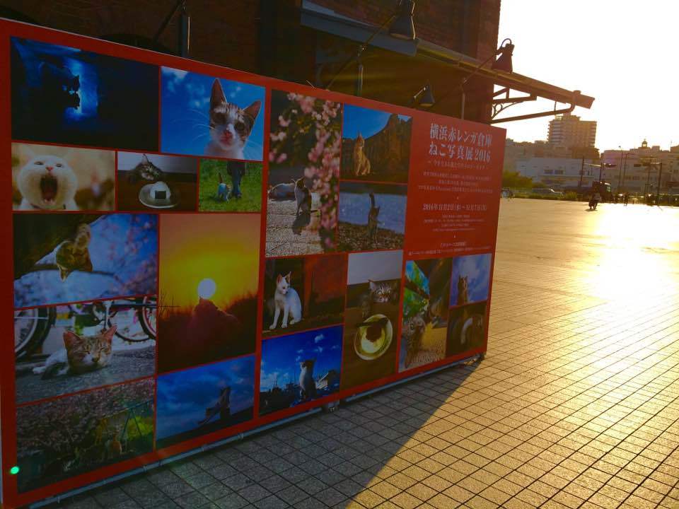 e0255060_23240167.jpg