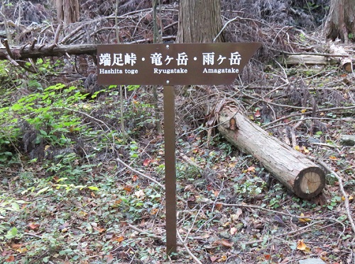 d0164761_13273181.jpg