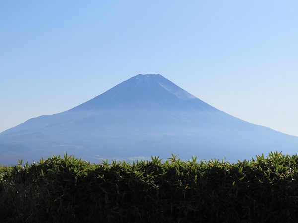d0164761_13442832.jpg