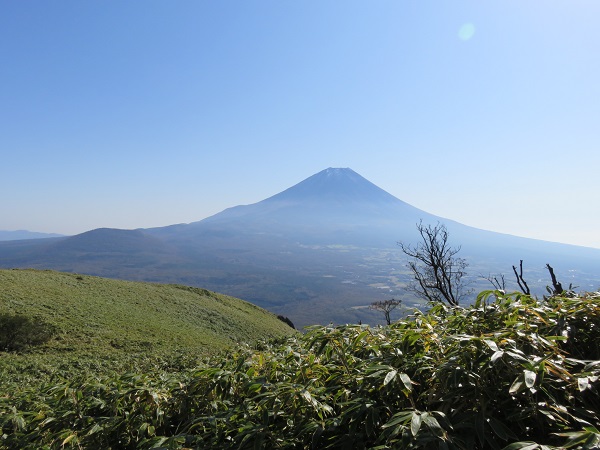 d0164761_1356596.jpg