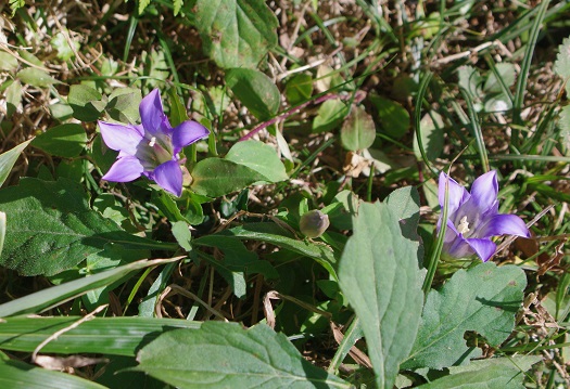d0164761_1410331.jpg
