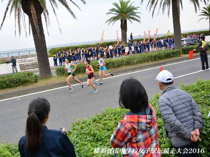 気合いでV『2016 横須賀市中学校女子駅伝競走大会』(３)_d0251161_07521650.jpg