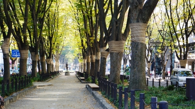 c0325866_22233137.jpg