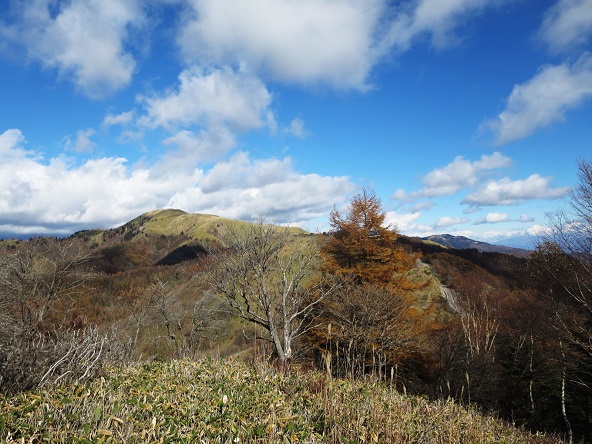 f0302771_5135529.jpg