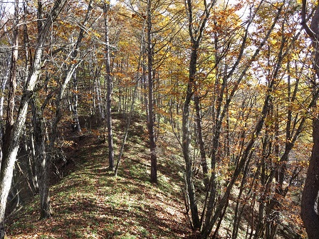 f0302771_5173725.jpg