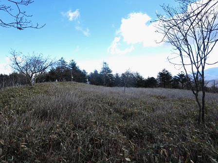 f0302771_5182096.jpg
