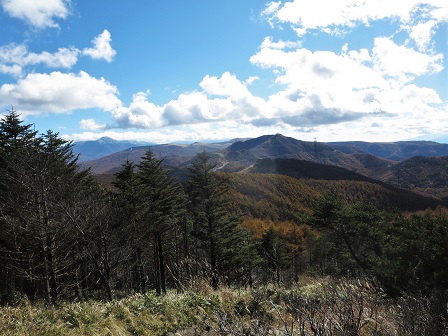 f0302771_5185998.jpg