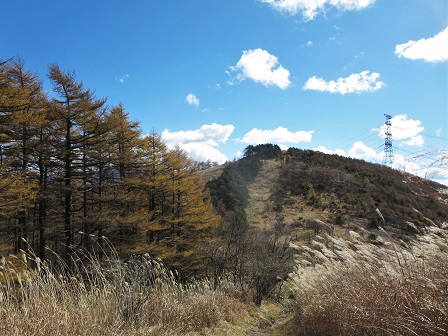 f0302771_519176.jpg