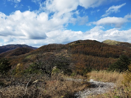 f0302771_5195667.jpg