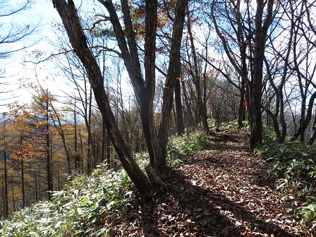 f0302771_5201415.jpg