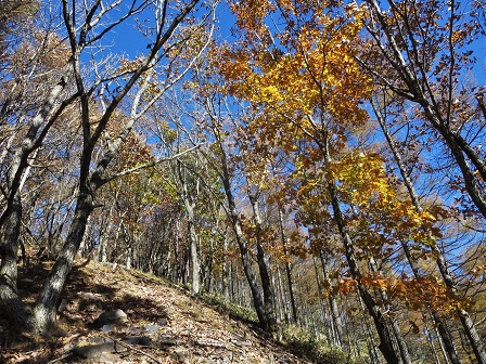 f0302771_5204749.jpg