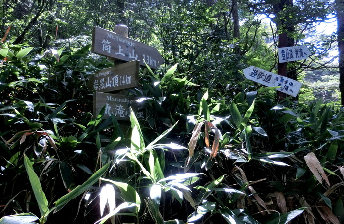 No452 石鎚山系筒上山_b0185573_17264510.jpg